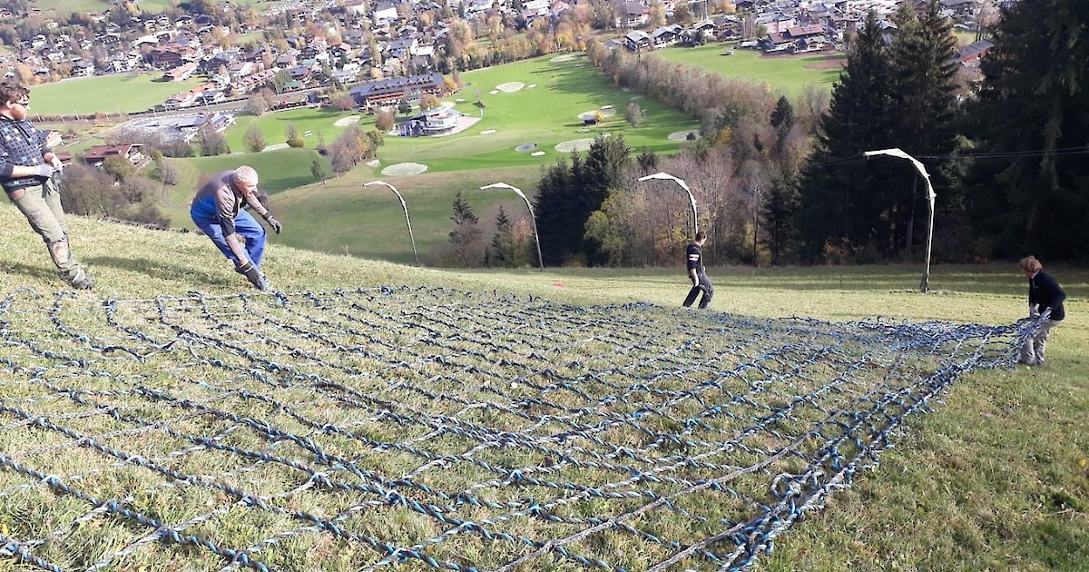 Asianutte hat alle Hände voll zu tun 