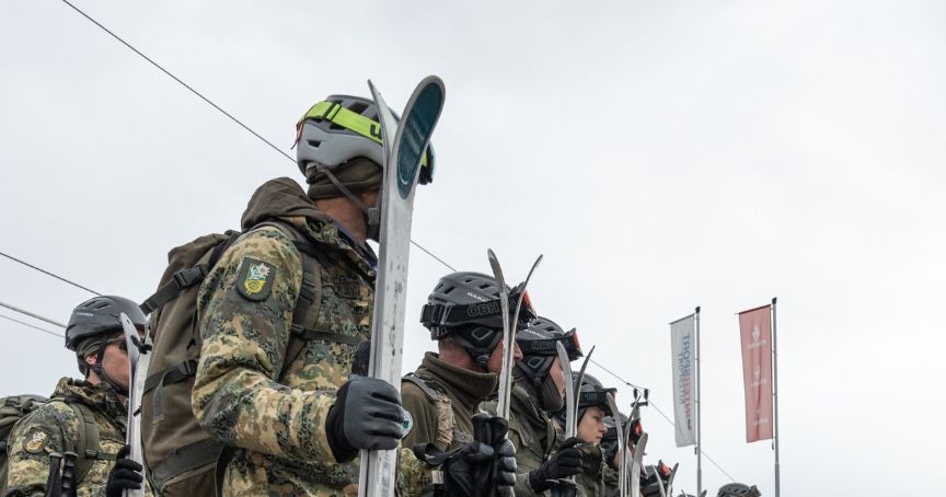 Arrival of the Austrian Army